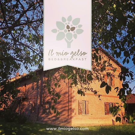 Bed & Breakfast Il Mio Gelso Villanova d'Asti Extérieur photo